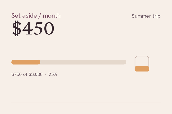 Sinking Funds Tracker demo screen showing $450 to set aside this month toward a summer trip